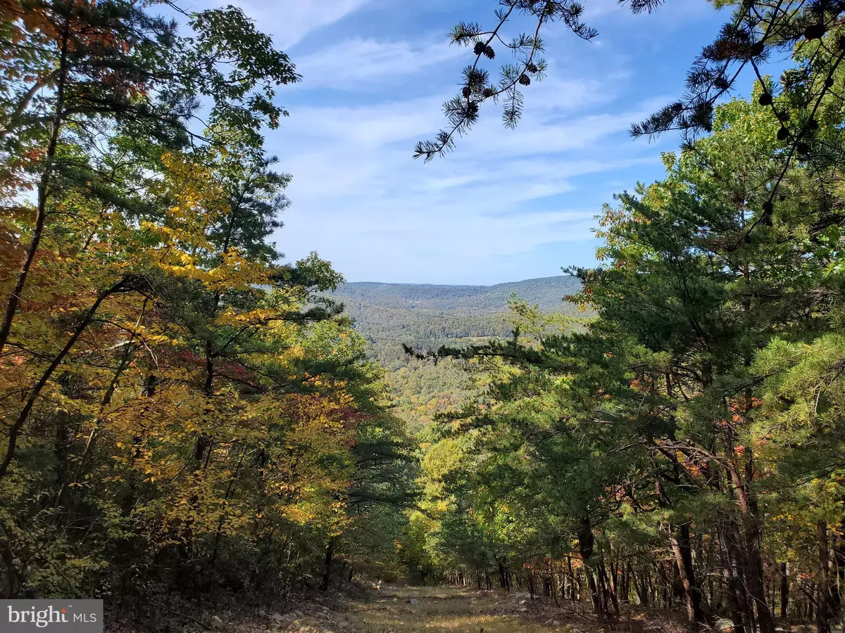 Bloomery, WV 26817,BEAR GARDEN TRL