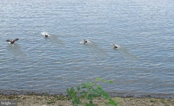 Beverly, NJ 08010,56 RIVERBANK