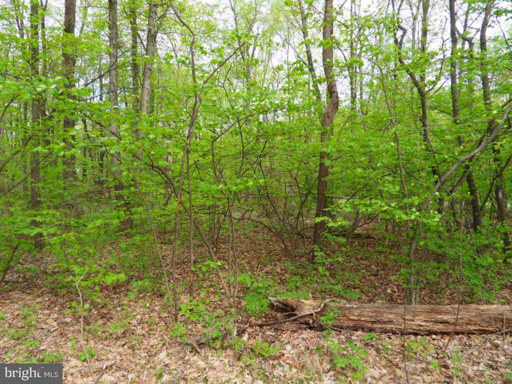 Doylestown, PA 18901,6209 FERRY RD