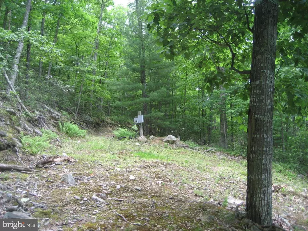 Franklin, WV 26807,7.44 ACRE LOT IN BUCK RIDGES