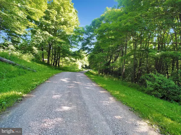 LOT 28 ROOT BEACHY RD, Grantsville, MD 21536