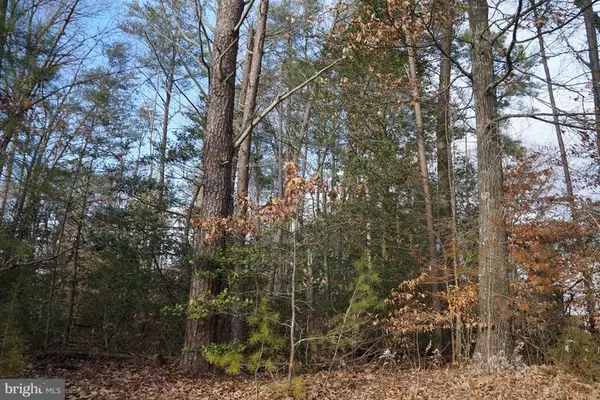 -LOT 2 GOLANSVILLE RD, Ruther Glen, VA 22546