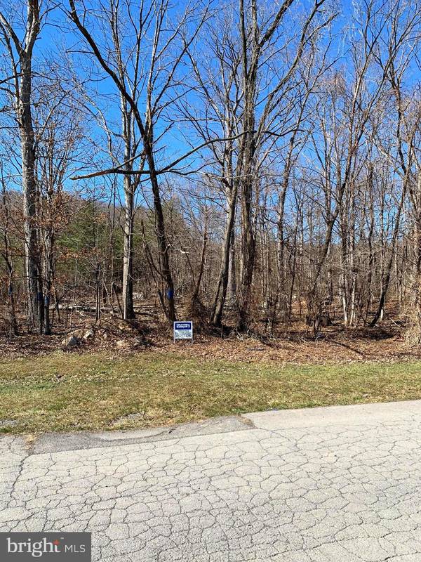 LOT 42 HAINES (PREVIOUSLY MARSHALL) DR, Cresaptown, MD 21502