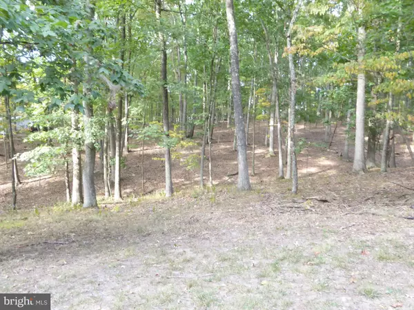 Slanesville, WV 25444,LOT 9 BRISTOL SPRINGS WAY