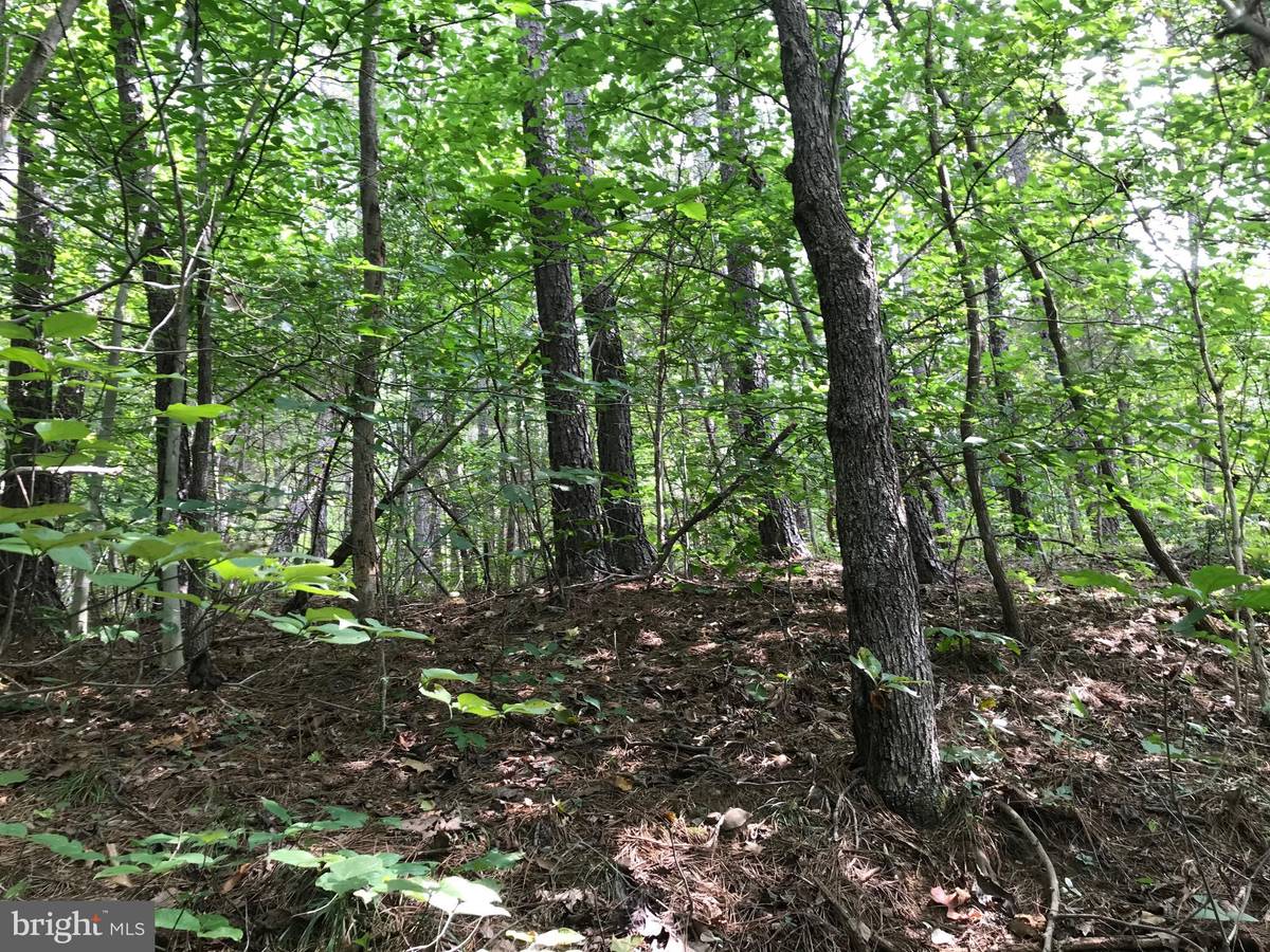 Bentonville, VA 22610,LOT 11 MOUNTAIN BROOK