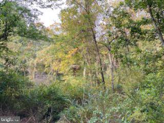 LOT #8 AMITY RD, Duncannon, PA 17020