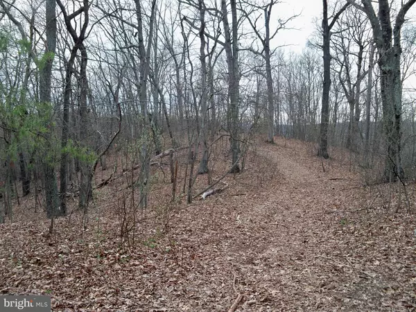 Hedgesville, WV 25427,HAWKS NEST LOT 9