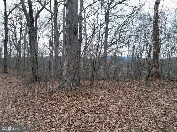 Hedgesville, WV 25427,HAWKS NEST LOT 9