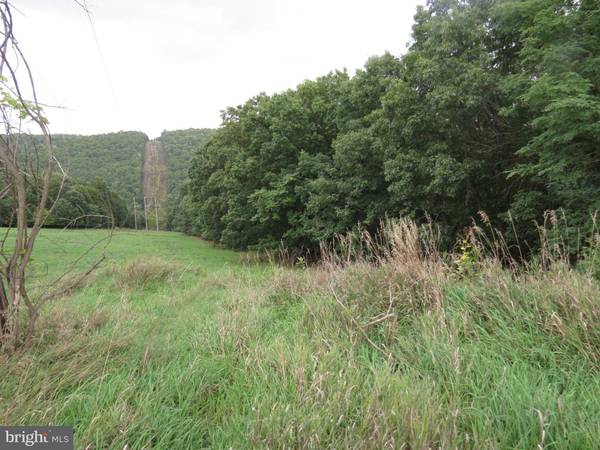 CHARLEY'S KNOB, Petersburg, WV 26847