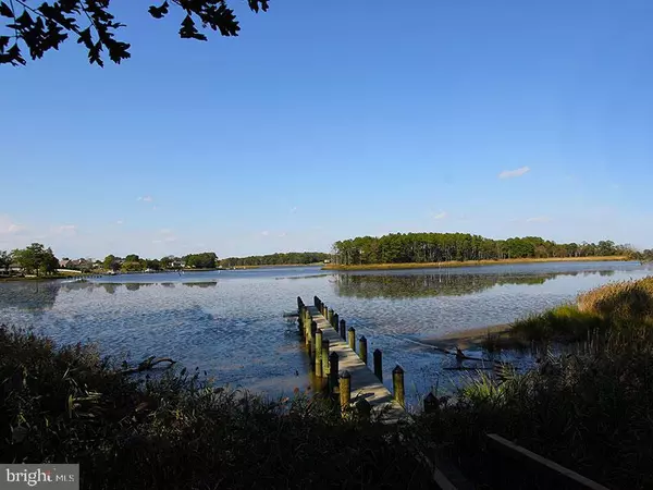 Millsboro, DE 19966,20004 BLUFF POINT DR #8B