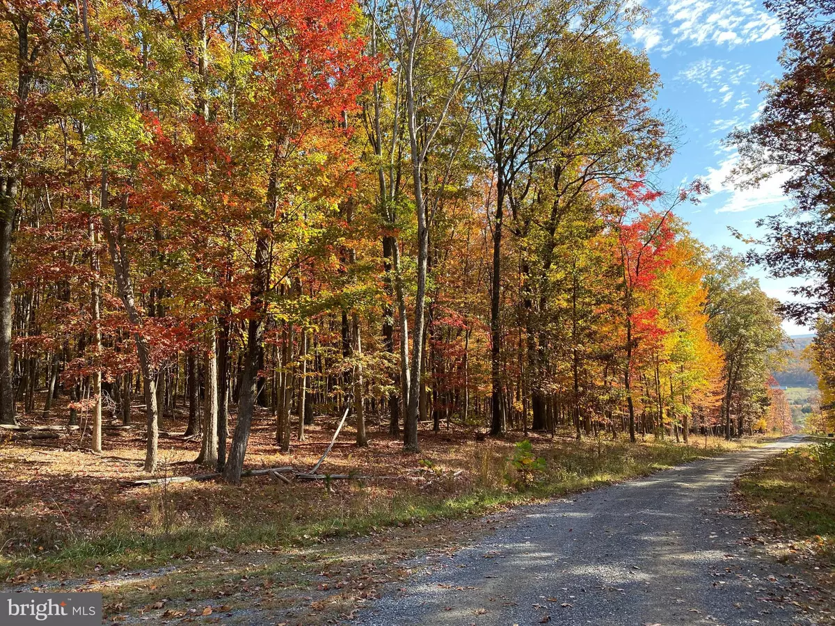 Capon Bridge, WV 26711,16 QUAKER TRAIL