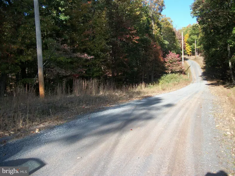 SELDOM SEEN & BOB, Great Cacapon, WV 25422