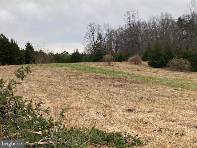 Culpeper, VA 22701,LOT 12 MOUNTAIN SKY COURT