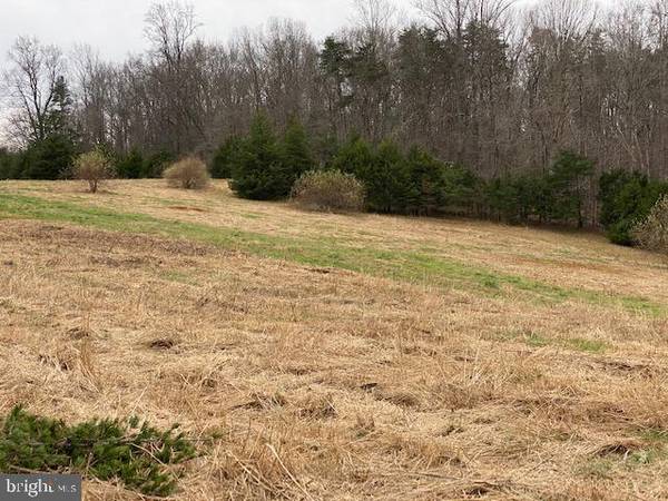 Culpeper, VA 22701,LOT 12 MOUNTAIN SKY COURT