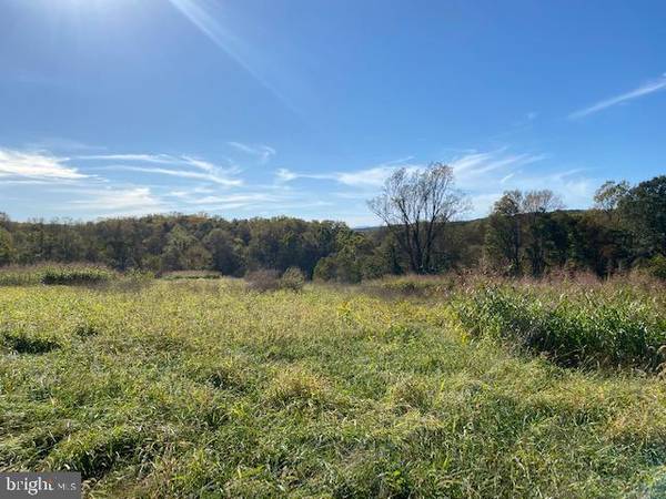 Culpeper, VA 22701,LOT 14 MOUNTAIN RIDGE WAY