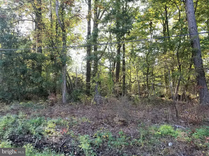 -LOT 36 SANTA ANITA DR, Colonial Beach, VA 22443