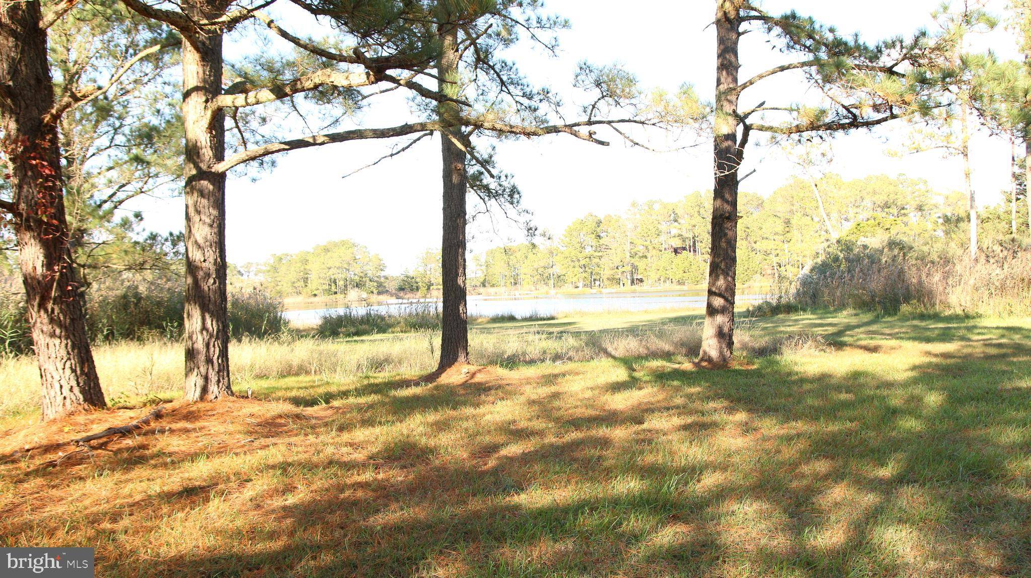 Marion Station, MD 21838,0 LUTHER MILES LN