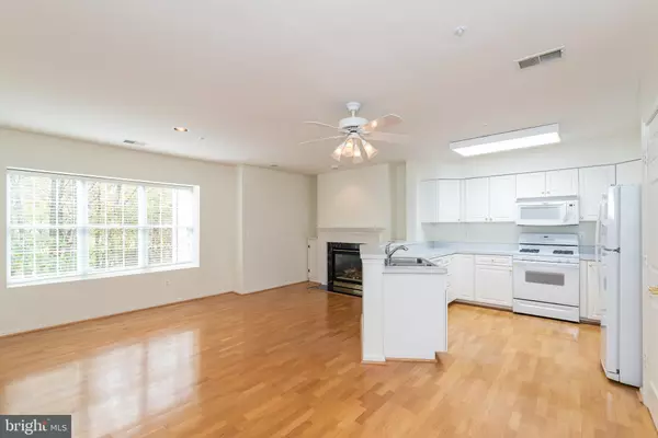 12103 TULLAMORE CT #202, Lutherville Timonium, MD 21093