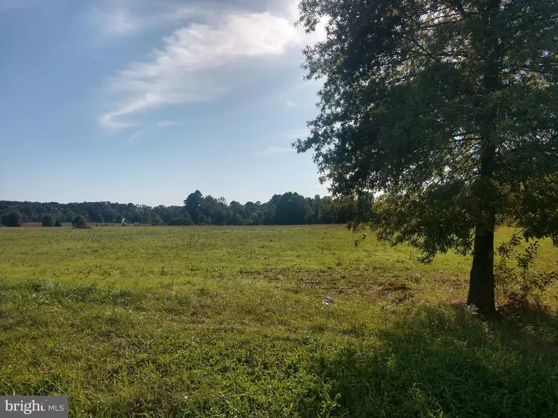 LOT 30 HICKORY COVE RD, Hurlock, MD 21643