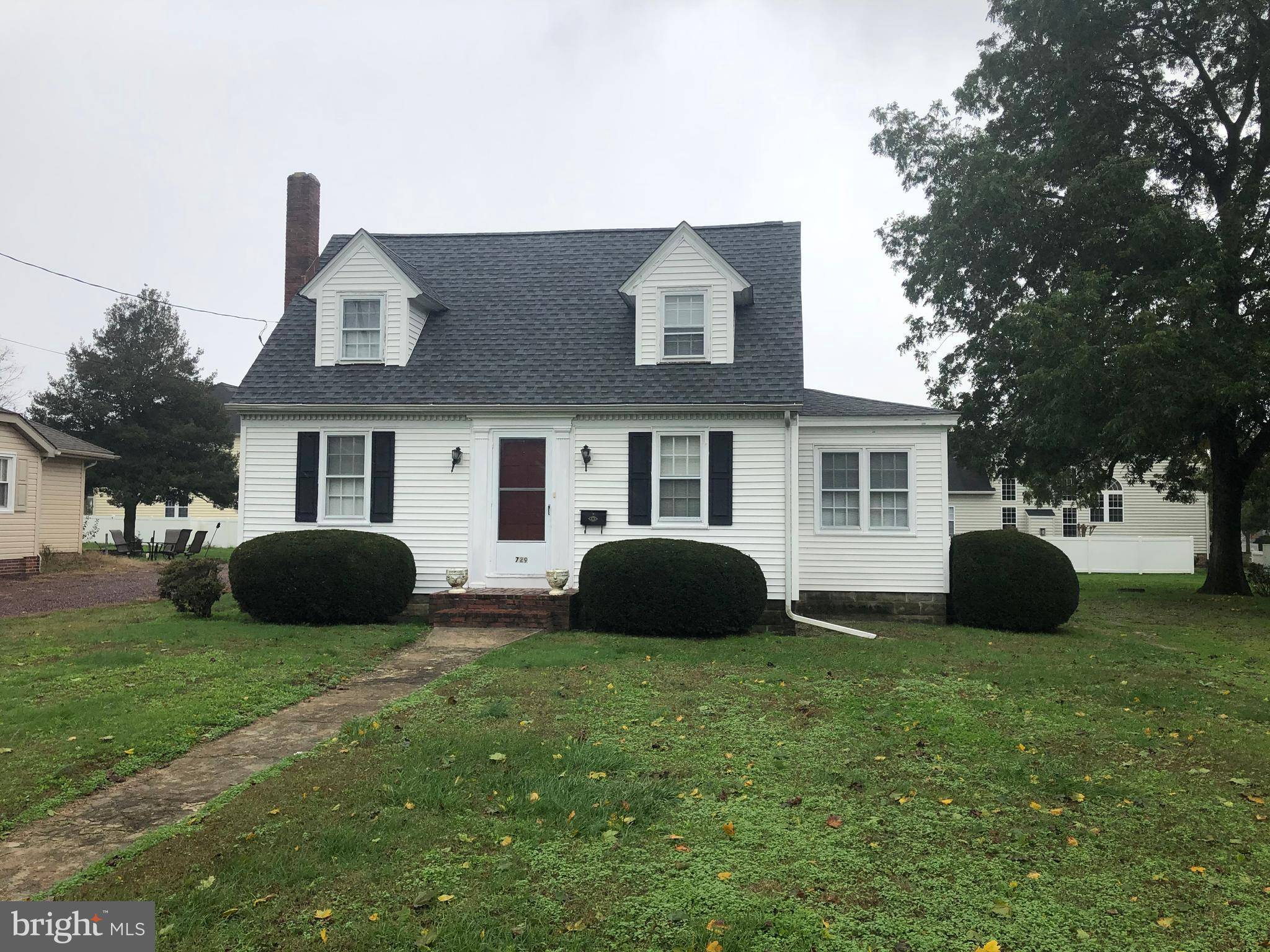 729 CHESTNUT ST, Milton, DE 19968