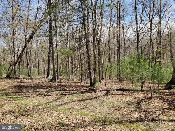 LOT 10 REDTAIL, Basye, VA 22810