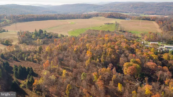 Barto, PA 19504,LOT 4 GREENHOUSE LANE