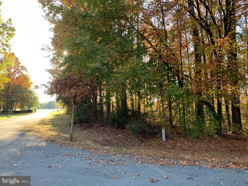 0 RANDOLPH ST #LOT 32, Mineral, VA 23117