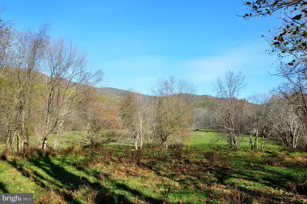 Sperryville, VA 22740,PINE HILL ROAD