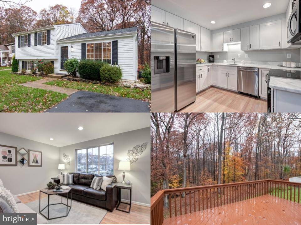 8504 RIPPLED CREEK CT, Springfield, VA 22153