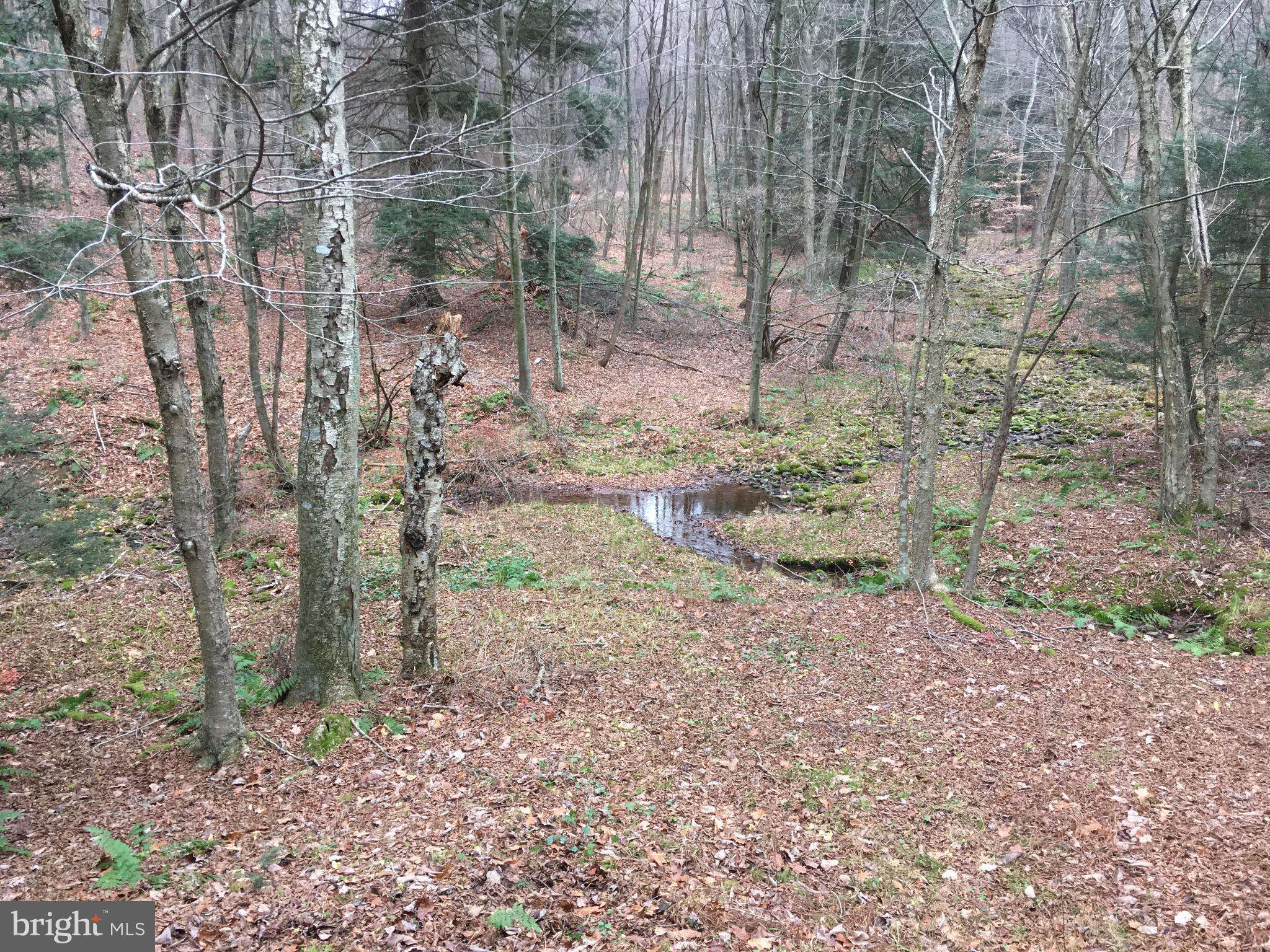 Loysburg, PA 16659,3370 CHURCHVIEW RD