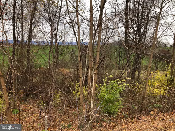 Shippensburg, PA 17257,LOT 14-4 RUGER RD