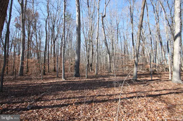 SPRING ROAD, Bremo Bluff, VA 23022