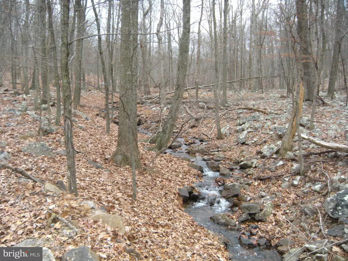 Berkeley Springs, WV 25411,LOT #3 BOULDER SPRINGS TRL