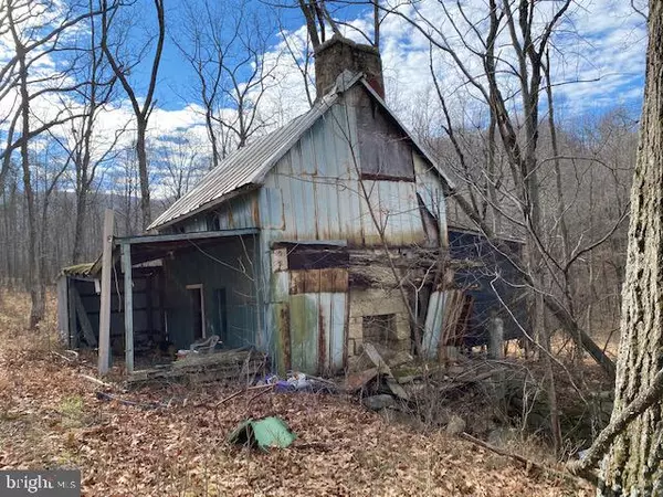 High View, WV 26808,-80 ACRES BACK CREEK ROAD