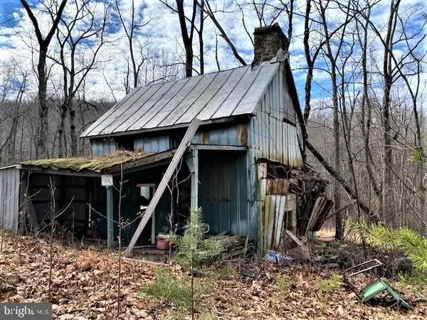 High View, WV 26808,-80 ACRES BACK CREEK ROAD