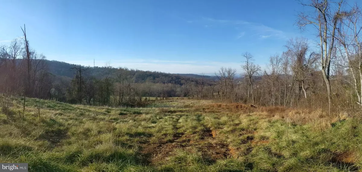 Linden, VA 22642,LOT 11B WINONA DR