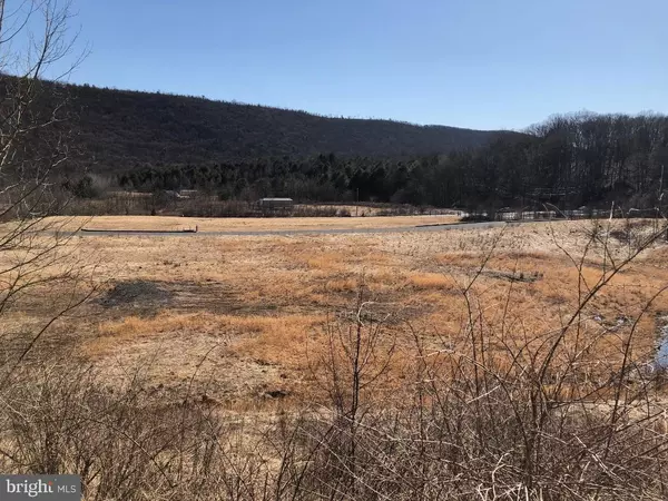 Pottsville, PA 17901,646 GORDON NAGLE TRAIL (ROUTE 901) #80-ACRES