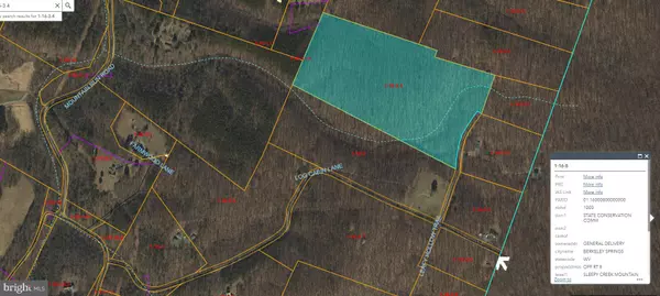 Berkeley Springs, WV 25411,LEAFY HOLLOW TRL