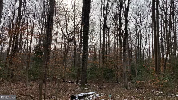 Manassas, VA 20112,7001 GILBETH RD