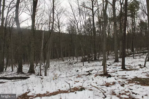 Springfield, WV 26763,LOT 217 DOMAN RIDGE RD