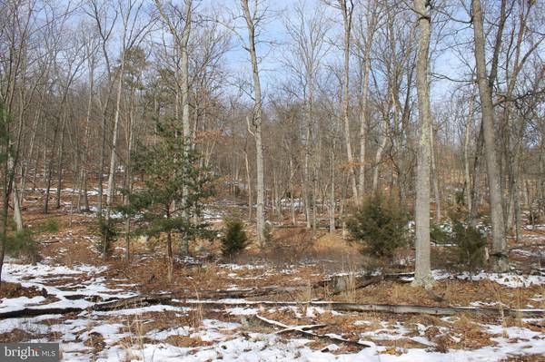 LOT 36 BUTTERNUT DRIVE, Yellow Spring, WV 26865