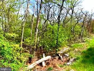 0 TIMBER RIDGE TRL, Winchester, VA 22602