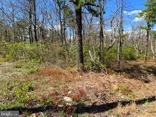 0 GOLDWOOD TRL, Winchester, VA 22602