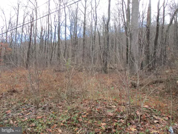 LOT 5 NANCY JACK ROAD, Gerrardstown, WV 25420