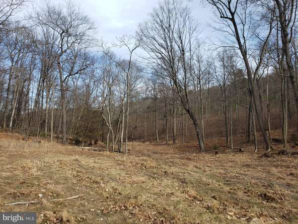 114-ACRES BAUGHMAN SETTLETMENT, Baker, WV 26801