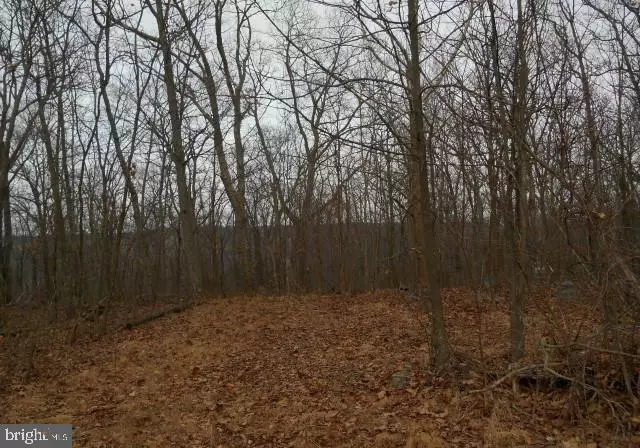 Bloomery, WV 26817,MOUNTAIN TOP RD #LOT 49-A