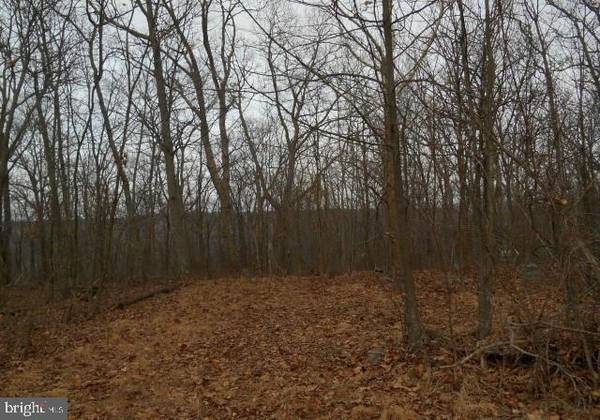 MOUNTAIN TOP RD #LOT 49-A, Bloomery, WV 26817