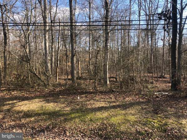 00 MT HOLLY - ENM ROAD, East New Market, MD 21631