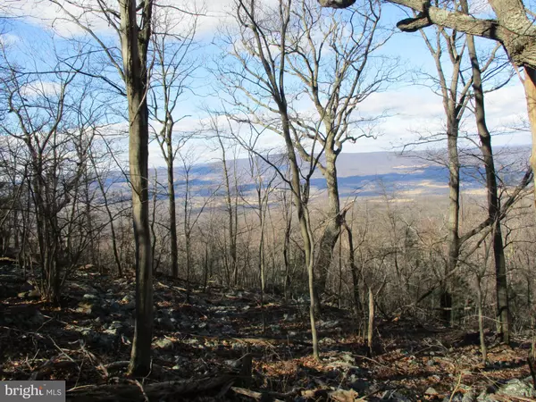 Gerrardstown, WV 25420,LOT 135 ALLEGHENY