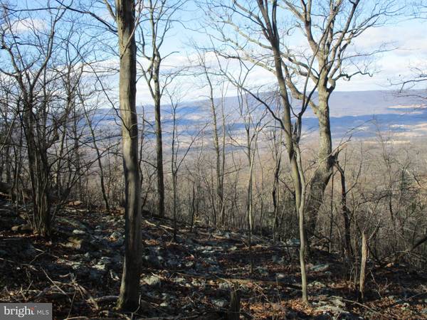 LOT 135 ALLEGHENY, Gerrardstown, WV 25420